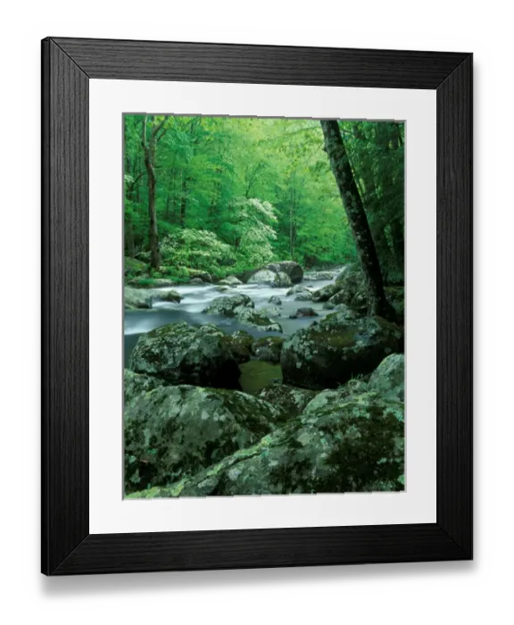 Framed Print : Tennessee, Great Smoky Mt NP, Stream at Tremont in spring