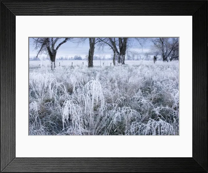 Framed Print : USA; Tennessee; Great Smoky Mountain NP; Early morning frost in Cades Coves Framed Print : USA; Tennessee; Great Smoky Mountain NP; Early morning frost in Cades Coves