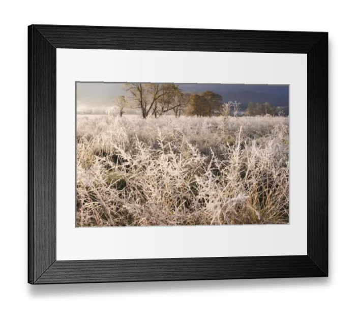 Framed Print : USA; Tennessee; Great Smoky Mountain NP; Early morning frost in Cades Coves Framed Print : USA; Tennessee; Great Smoky Mountain NP; Early morning frost in Cades Coves