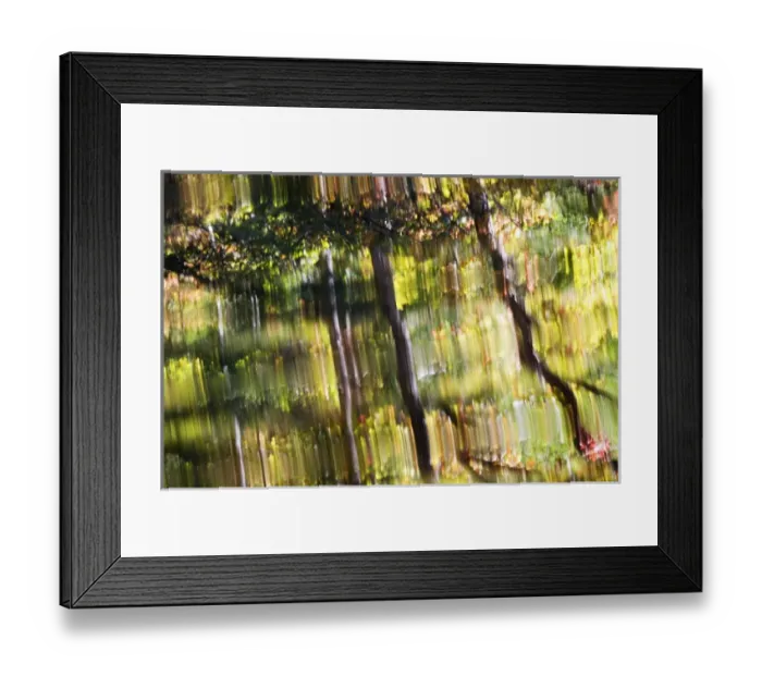 Framed Print : USA; Tennessee; Great Smoky Mountain NP; Reflections in mountain stream Framed Print : USA; Tennessee; Great Smoky Mountain NP; Reflections in mountain stream