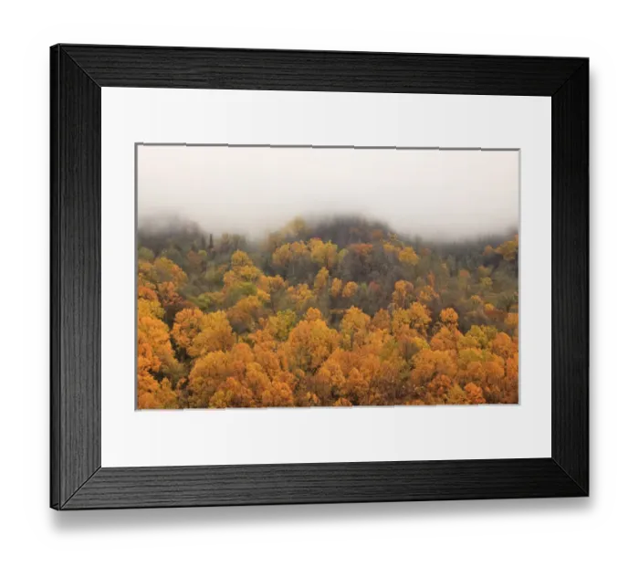 Framed Print : USA, North America, North Carolina, Great Smoky Mountain NP. Fall foliage in mountain