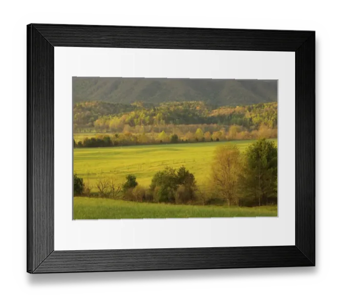 Framed Print : North America, USA, Tennessee, Great Smoky Mountain NP. Pasture in Cades Cove Framed Print : North America, USA, Tennessee, Great Smoky Mountain NP. Pasture in Cades Cove