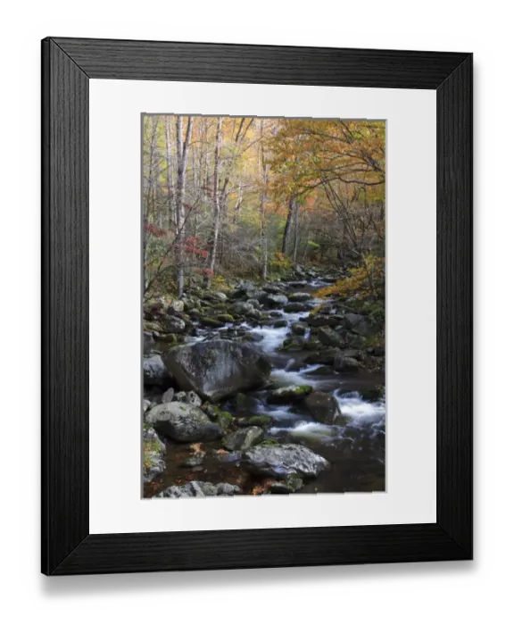 Framed Print : North America, USA, Tennessee. Stream in the fall in the Great Smoky Mountains Framed Print : North America, USA, Tennessee. Stream in the fall in the Great Smoky Mountains