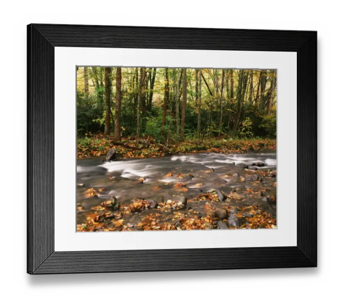 Framed Print : USA, Tennessee, Great Smoky Mountains National Park, River flowing through forest Framed Print : USA, Tennessee, Great Smoky Mountains National Park, River flowing through forest