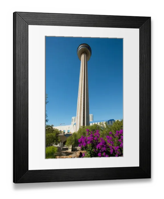 Framed Print : USA, Texas, San Antonio, HemisFair Park, Tower of the Americas, framed with flowers Framed Print : USA, Texas, San Antonio, HemisFair Park, Tower of the Americas, framed with flowers