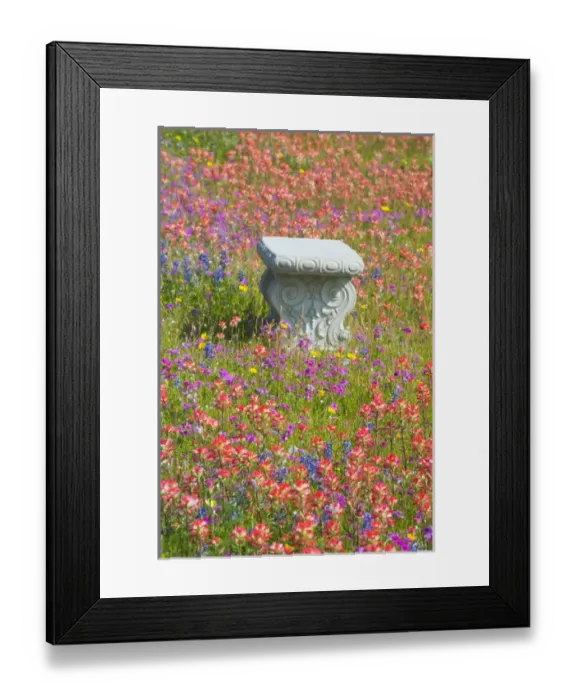 Framed Print : Bench in Grave Yard near Nixon Texas surrounded by wildflowers