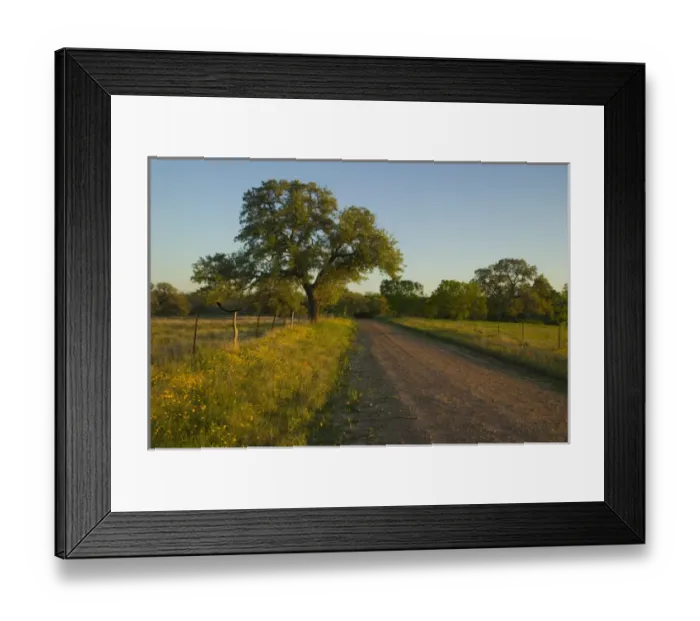 Framed Print : Gravel Road just to the Northwest of Cuero Texas Framed Print : Gravel Road just to the Northwest of Cuero Texas