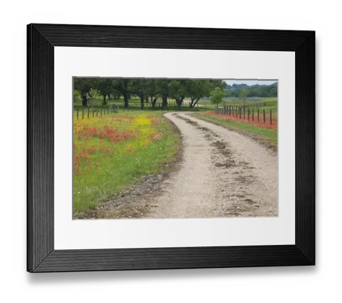 Framed Print : Texas Hill Country, USA, North America. Road leading through a large field of wildflowers