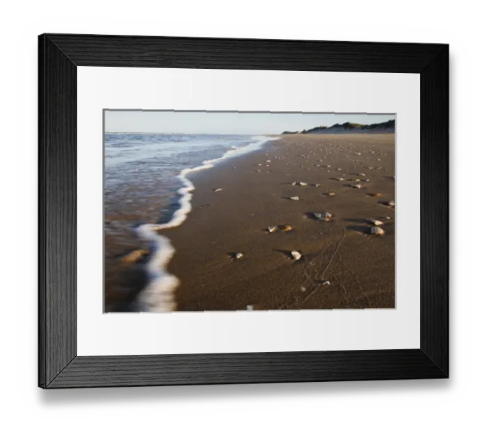 Framed Print : South Padre Island, Texas beach on the Gulf of Mexico with sea shells by the surf Framed Print : South Padre Island, Texas beach on the Gulf of Mexico with sea shells by the surf