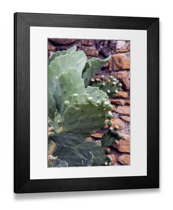 Framed Print : USA, Texas, Mission San Juan Capistrano founded in 1731 near San Antonio Framed Print : USA, Texas, Mission San Juan Capistrano founded in 1731 near San Antonio