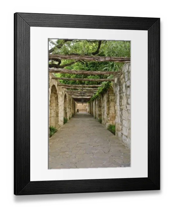 Framed Print : Texas, San Antonio. The Alamo