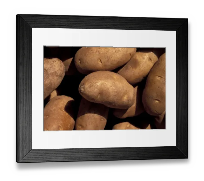 Framed Print : NA, USA, Texas, Forst Worth At Main Street Fiesta, detail of potatoes at french Framed Print : NA, USA, Texas, Forst Worth At Main Street Fiesta, detail of potatoes at french