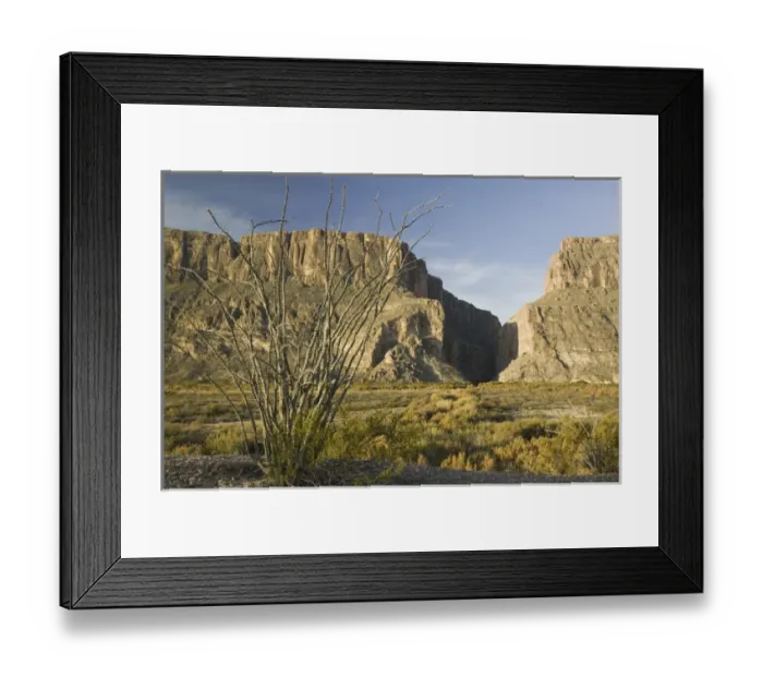 Framed Print : USA-TEXAS-Big Bend Area-Big Bend National Park: Santa Elena Canyon & Ocatillo Plant Framed Print : USA-TEXAS-Big Bend Area-Big Bend National Park: Santa Elena Canyon & Ocatillo Plant