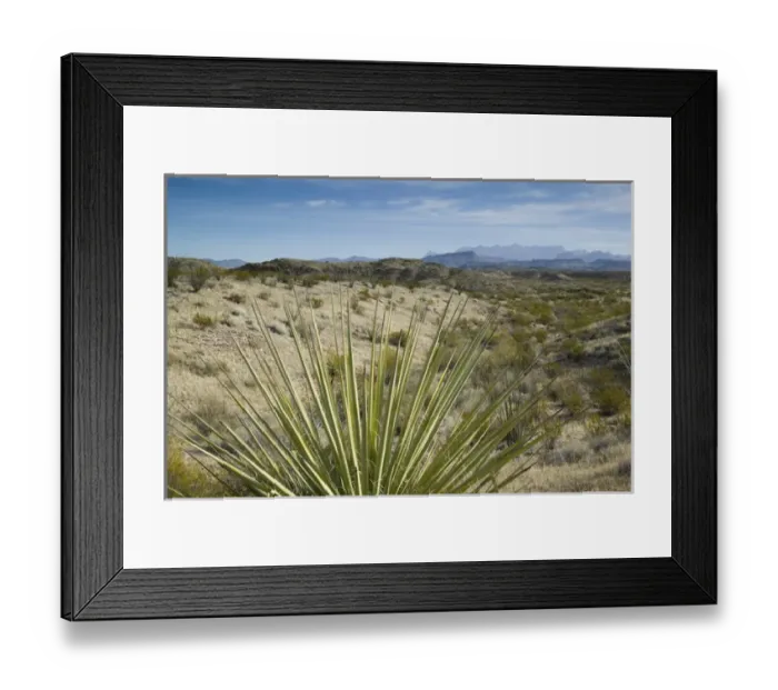 Framed Print : USA-TEXAS-Big Bend Area-Big Bend National Park: Desert & Chisos Mountains Framed Print : USA-TEXAS-Big Bend Area-Big Bend National Park: Desert & Chisos Mountains