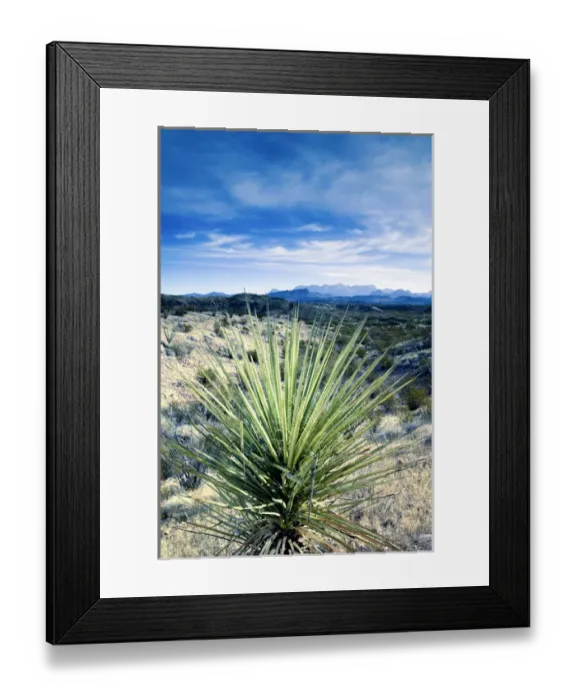 Framed Print : USA-TEXAS-Big Bend Area-Big Bend National Park: Desert & Chisos Mountains Framed Print : USA-TEXAS-Big Bend Area-Big Bend National Park: Desert & Chisos Mountains