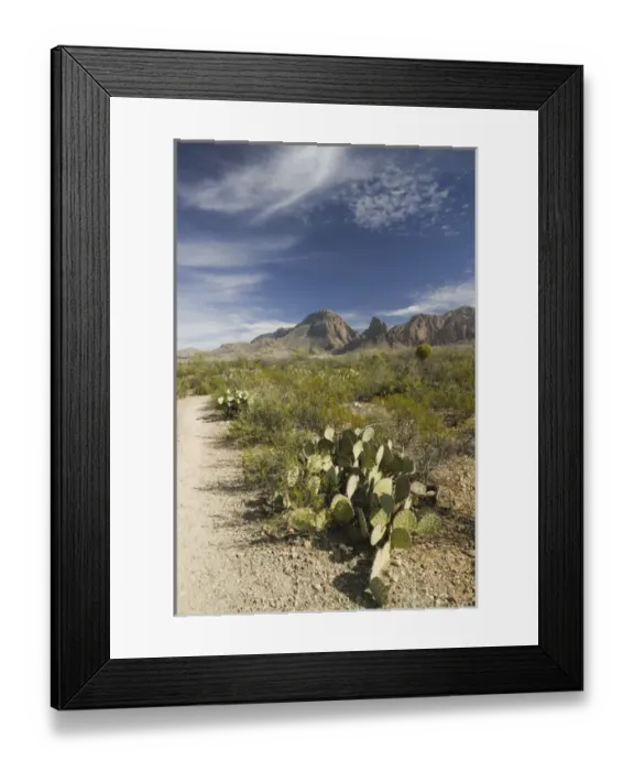 Framed Print : USA-TEXAS-Big Bend Area-Big Bend National Park: Hiking Trail & Chisos Mountains