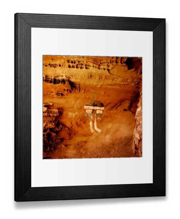 Framed Print : Anasazi Pictograph located in Salt Creek Canyon Canyonlands National Park. One of