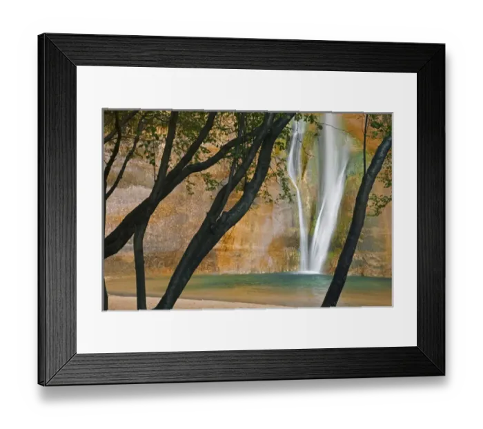 Framed Print : USA; Utah. View of Calf Creek Falls through trees. Credit as: Don Paulson / Jaynes Framed Print : USA; Utah. View of Calf Creek Falls through trees. Credit as: Don Paulson / Jaynes
