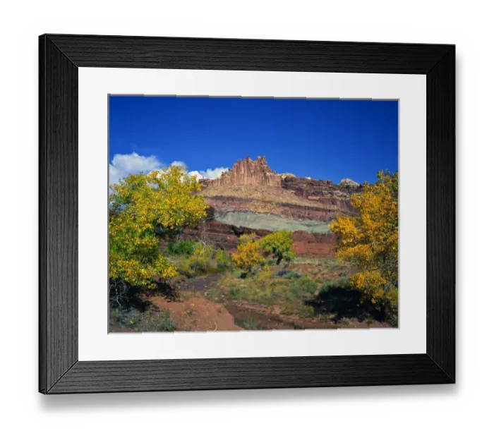 Framed Print : USA, Utah, Capitol Reef National Park, showing The Castle along the Fremont River Framed Print : USA, Utah, Capitol Reef National Park, showing The Castle along the Fremont River