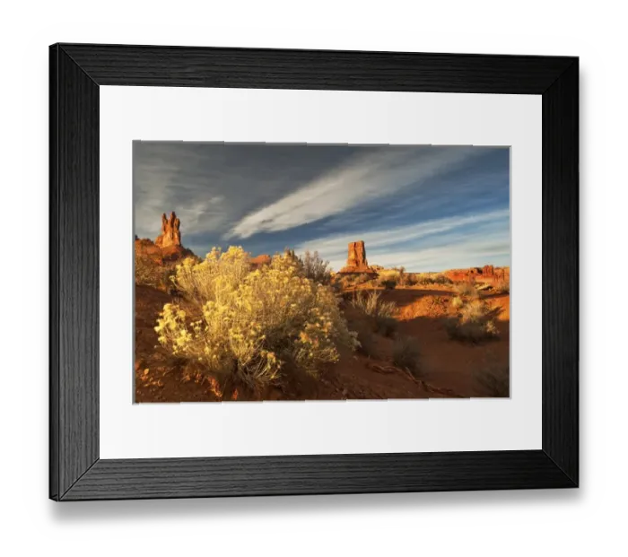 Framed Print : USA, Utah, Valley of The Gods. Eroded pinnacle formations and rabbit bush. Credit as Framed Print : USA, Utah, Valley of The Gods. Eroded pinnacle formations and rabbit bush. Credit as
