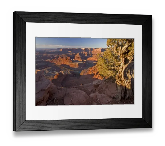 Framed Print : USA, Utah, Dead Horse Point State Park. Sunrise on the park. Credit as: Cathy & Gordon Framed Print : USA, Utah, Dead Horse Point State Park. Sunrise on the park. Credit as: Cathy & Gordon