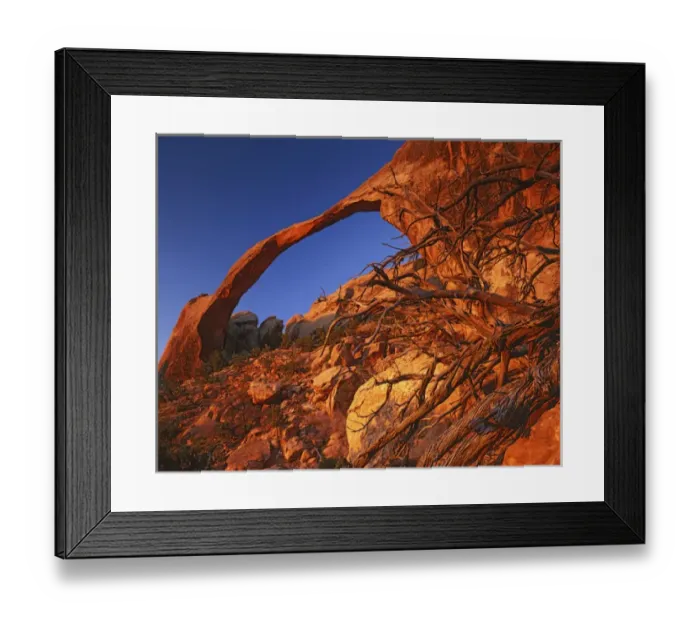Framed Print : USA, Utah, Arches National Park, Landscape Arch