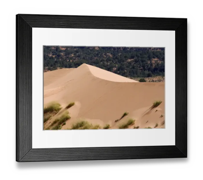 Framed Print : North America - USA - Utah - Coral Pink Sand Dunes State Park Framed Print : North America - USA - Utah - Coral Pink Sand Dunes State Park