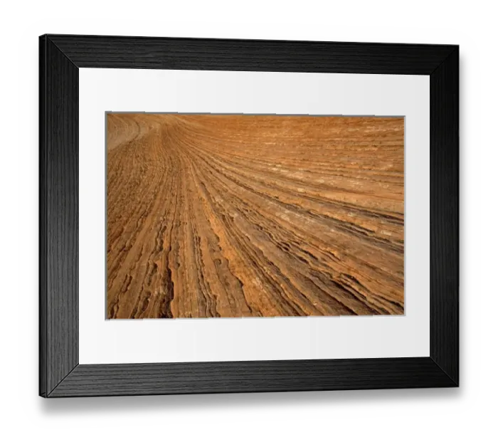Framed Print : North America - USA - Utah - Early morning light on east side of Zion National Park