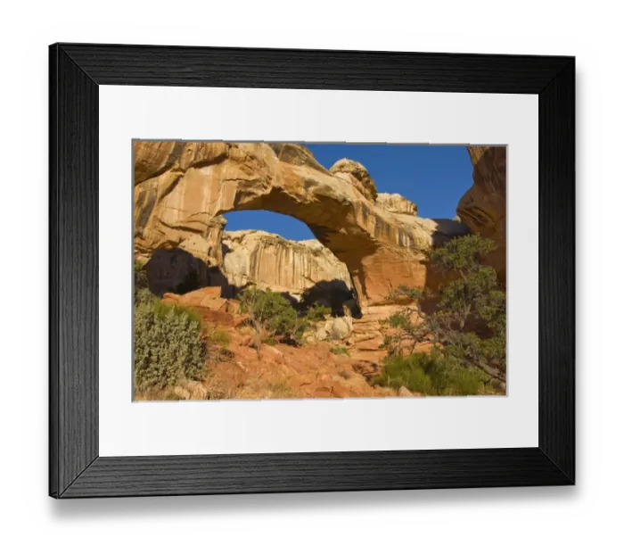 Framed Print : USA, Utah, Capitol Reef National Park. Morning light on Hickman Bridge