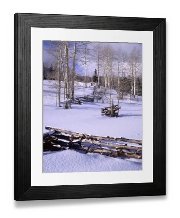 Framed Print : USA, Utah, Aspen Trees, Snow, Winter, Log Fence Framed Print : USA, Utah, Aspen Trees, Snow, Winter, Log Fence