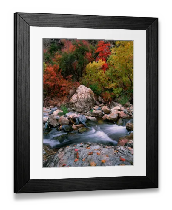 Framed Print : USA, Utah, Wasatch-Cache NF, Big Cottonwood Creek, Fall foliage