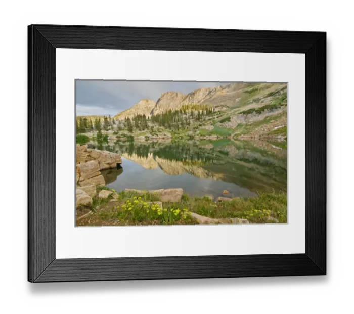 Framed Print : Devils castle reflected in Cecret Lake, evening, yellow wildflowers, Little Cottonwood Canyon Framed Print : Devils castle reflected in Cecret Lake, evening, yellow wildflowers, Little Cottonwood Canyon