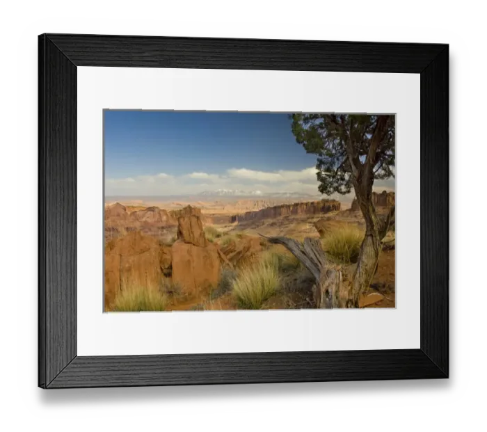 Framed Print : Juniper Tree and Rock, Lasal Mountains in distance, Long Canyon, Blm Land near Moab, Utah Framed Print : Juniper Tree and Rock, Lasal Mountains in distance, Long Canyon, Blm Land near Moab, Utah