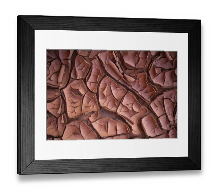 Framed Print : Dried mud along White Canyon, Utah Framed Print : Dried mud along White Canyon, Utah