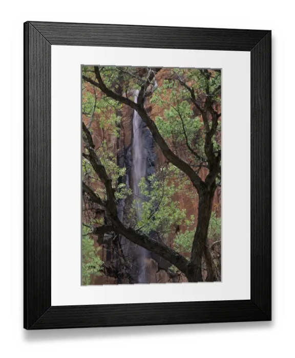Framed Print : Waterfall plunges 1000 feet into Zion Canyon above Temple of Sinewava, Zion National Park Framed Print : Waterfall plunges 1000 feet into Zion Canyon above Temple of Sinewava, Zion National Park