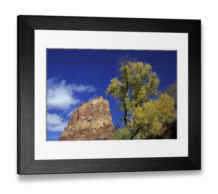 Framed Print : North America, USA, UT, Zion NP Angels Landing high above the Zion valley