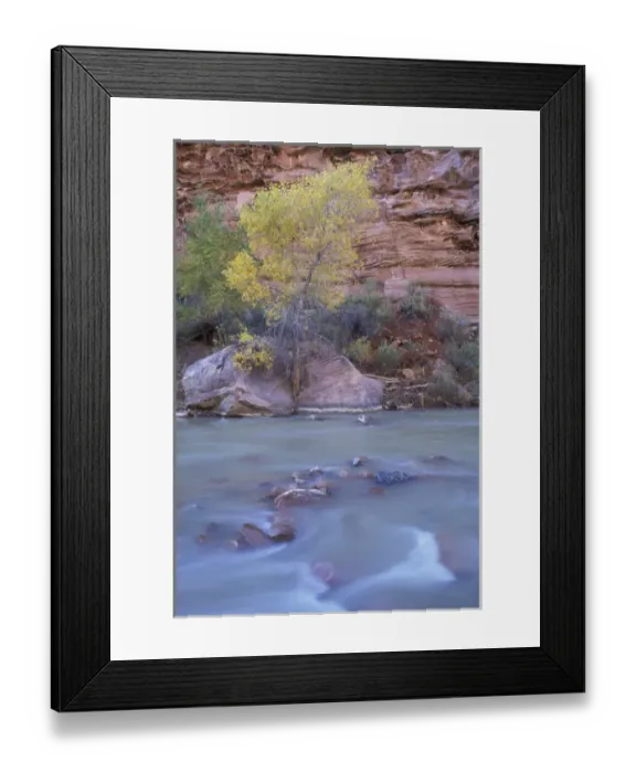 Framed Print : North America, USA, UT, Zion NP Virgin River at the honeycomb rocks area Framed Print : North America, USA, UT, Zion NP Virgin River at the honeycomb rocks area