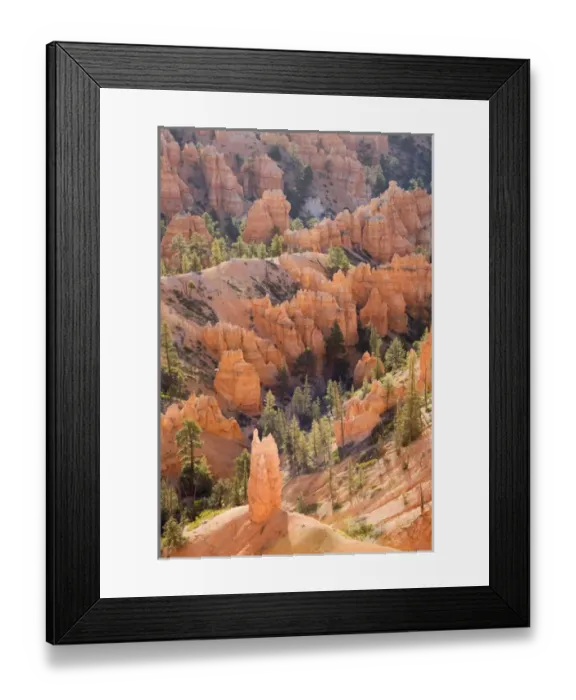 Framed Print : Utah, Bryce Canyon NP, Queens Garden