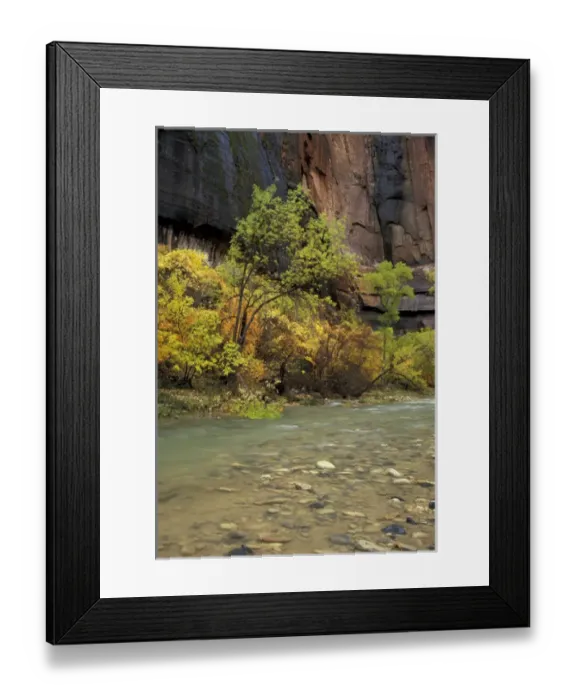 Framed Print : North America, USA, UT, Zion NP Virgin River in the Upper Zion Valley