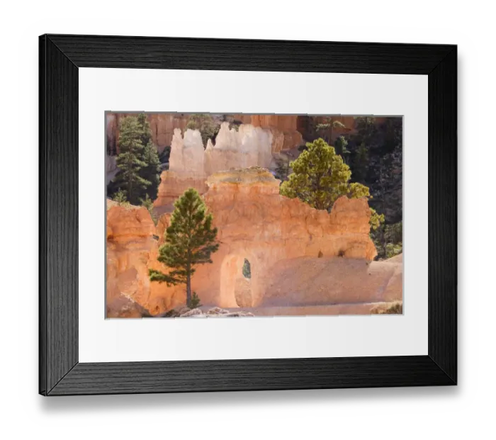 Framed Print : Utah, Bryce Canyon NP, Hoodoos along the Peekaboo Loop Trail