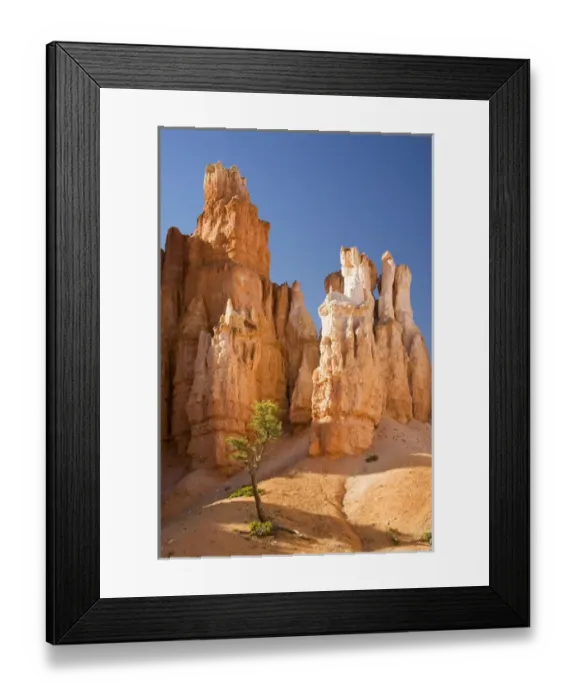 Framed Print : Utah, Bryce Canyon NP, Hoodoos along the Peekaboo Loop Trail