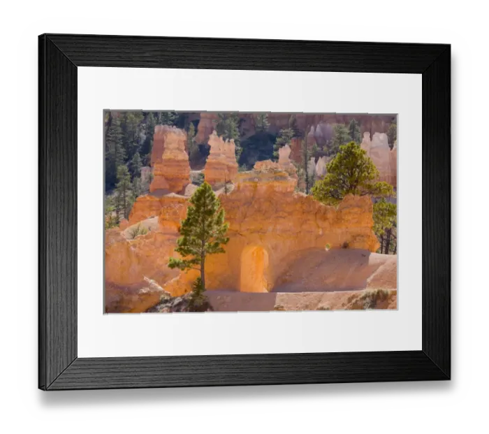Framed Print : UT, Bryce Canyon National Park, Tunnel on the Peekaboo trail Framed Print : UT, Bryce Canyon National Park, Tunnel on the Peekaboo trail