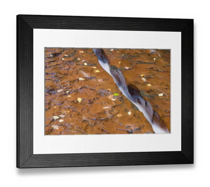 Framed Print : UT, Zion National Park, Water, rock, and leaves, Left Fork of North Creek Framed Print : UT, Zion National Park, Water, rock, and leaves, Left Fork of North Creek