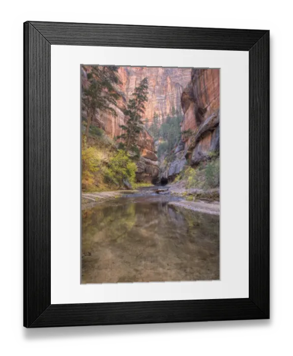 Framed Print : UT, Zion National Park, Left Fork of North Creek, at the Subway Framed Print : UT, Zion National Park, Left Fork of North Creek, at the Subway