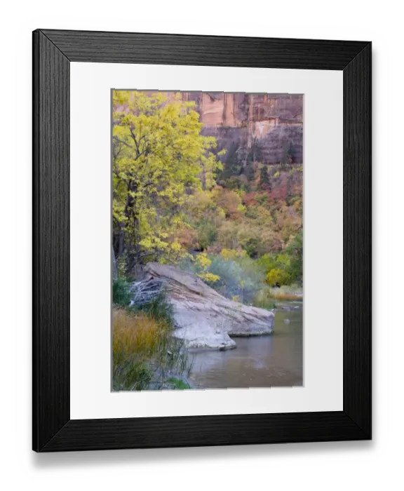 Framed Print : UT, Zion National Park, Zion Canyon, Virgin River, and colorful Cottonwood and Maple