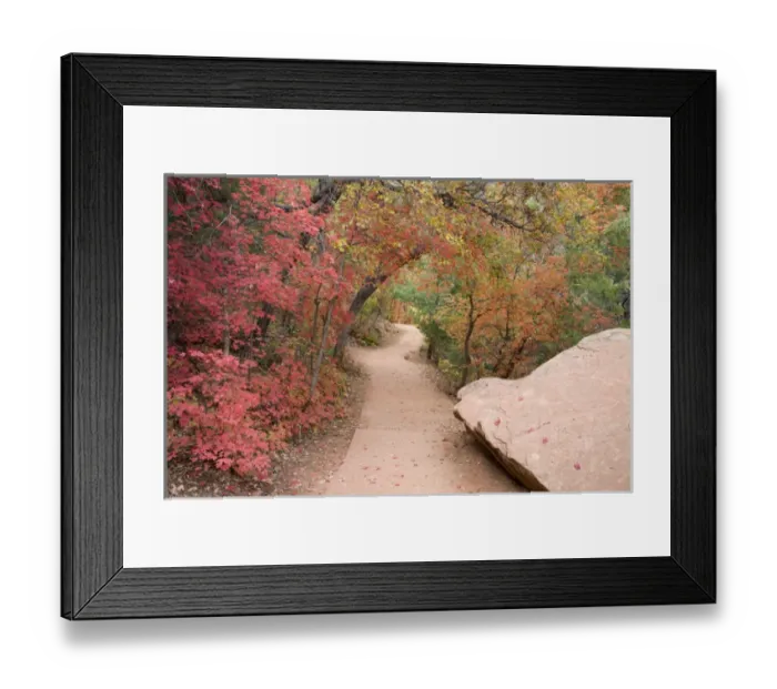 Framed Print : UT, Zion National Park, Zion Canyon, Emerald Pools trail, with Big Tooth Maple trees Framed Print : UT, Zion National Park, Zion Canyon, Emerald Pools trail, with Big Tooth Maple trees