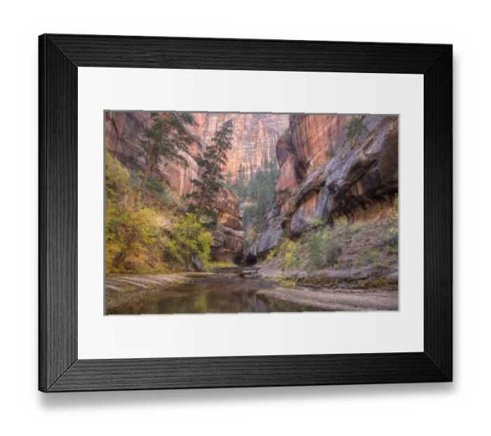 Framed Print : UT, Zion National Park, Left Fork of North Creek, at the Subway