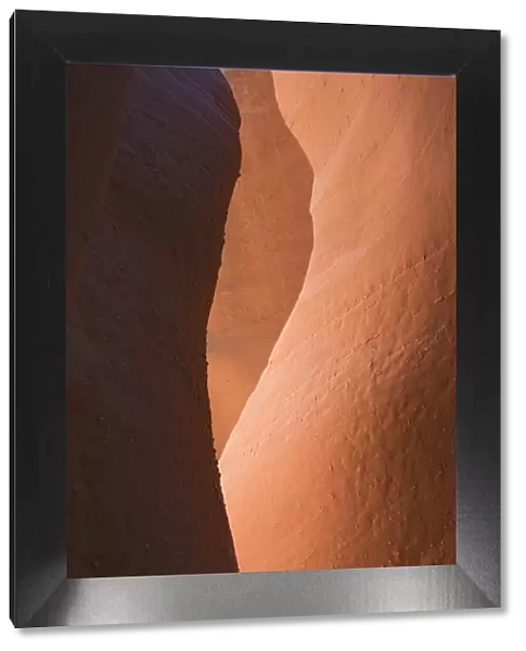 Utah, Grand Staircase Escalante NM, Spooky Gulch, Slot canyon of Dry Fork Coyote Gulch