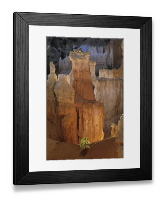 Framed Print : USA, Utah, Bryce Canyon National Park, morning light on hoodoos, spectacularly Framed Print : USA, Utah, Bryce Canyon National Park, morning light on hoodoos, spectacularly
