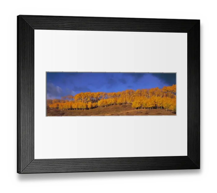 Framed Print : USA, Utah, Aquarius Plateau. Aspen forest on the Aquarius Plateau in Utah